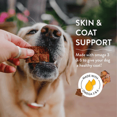 *SHAMELESS PETS Jerky Bites Berry Had A Little Lamb 4.5oz
