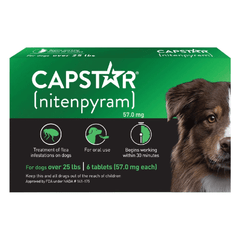 أقراص CAPSTAR للبراغيث للكلاب التي يزيد وزنها عن 25 رطلاً