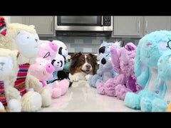 HUXLEY & KENT Dog Slappies Buzz Bee S