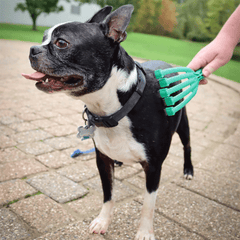 COASTAL PetKORE™ GroomRaker للكلاب S