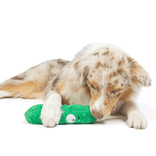 HUXLEY &amp; KENT Dog Fetchies Dell Pickle S