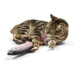 HUXLEY & KENT Cat Kicker Rainbow Trout
