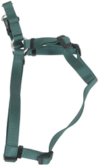 حزام COASTAL Comfort Wrap Harness مقاس 5/8 × 16-24 بوصة - لون أخضر هنتر