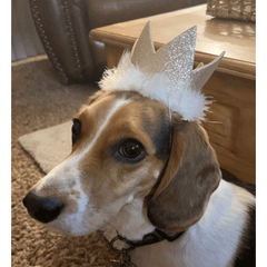 HUXLEY & KENT Party Crown Gold S