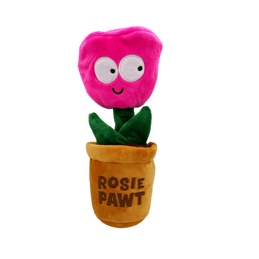 HUXLEY &amp; KENT لعبة البحث عن المكافآت للكلاب Rosie Pawt S