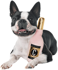 *COSMO Rose' Bottle 10"