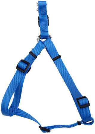 حزام COASTAL Comfort Wrap Harness مقاس 1 × 26-38 بوصة - أزرق لاجون