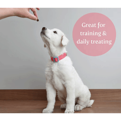 EXCLUSIVELY PET Training Treats Chicken 7oz