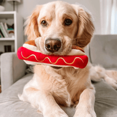HUXLEY & KENT Dog Power Plush Haute Dawg S