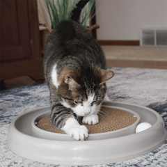 لعبة القطط COASTAL Turbo Scratcher® Eco باللون الرمادي مقاس 14 بوصة