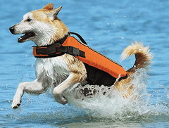 *FASHION PET Orange Life Vest S