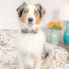 HUXLEY & KENT Bow Tie High Street Plaid L