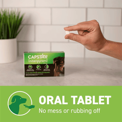 أقراص CAPSTAR للبراغيث للكلاب التي يزيد وزنها عن 25 رطلاً