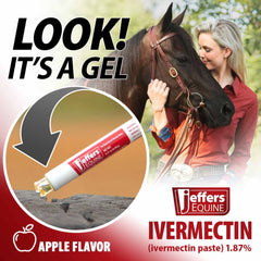 Jeffers Equine Ivermectin Gel Horse Dewormer Paste 1.87%, Broad Spectrum Equine Parasite Control Formula, Apple Flavored Oral Wormer for Horses, Easy Travel Use, Mess Free Syringe Tube - 3 Pack