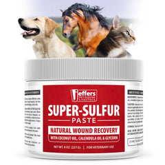 Jeffers Super Sulfur Natural Healing Paste for Dogs, Cats & Horses 8 oz – Wound Care, Skin & Coat Support for Animals, Soothes Itching & Inflammation, Dry Rough Flaky Skin, Hot Spots, Paw, Hoof Care