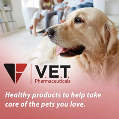 K-CIT-V Plus Cranberry 300 gm Granules for Dogs and Cats
