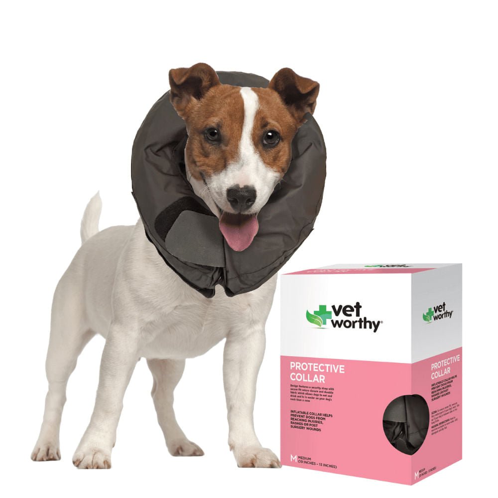 Vet Worthy Inflatable Collar, Black, Med, 10" to 13"