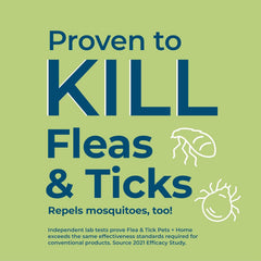 Wondercide Flea, Tick & Mosquito Control Spray for Pets + Home, 4 oz, Lemongrass