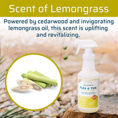 Wondercide Flea, Tick & Mosquito Control Spray for Pets + Home, 4 oz, Lemongrass