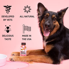 Multivitamin Food Topper for Dogs, 10oz