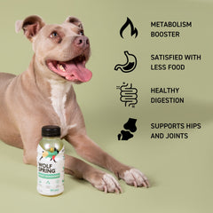 Weight Management Food Topper for Dogs, 6pk