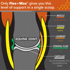 Flex + Max Pellets, 10 lb, 60-day supply