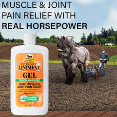 ** Vet Liniment Gel 12oz 430504