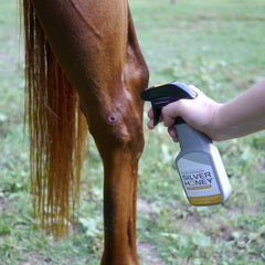 Silver Honey Rapid Wound Repair, 8 oz, Spray