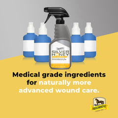 Silver Honey Rapid Wound Repair, 8 oz, Spray