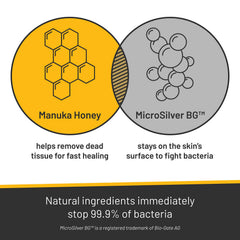Silver Honey Rapid Skin Relief Medicated Shampoo 16 fl oz Bottle