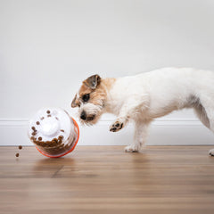 Nylabone Boop-N-Bobble Puzzle Treat Toy